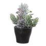 Composizione artificiale con abete, luppolo e bacche finte VIANNO, innevata, vaso decorativo, verde-bianco, 14 cm, Ø 11 cm
