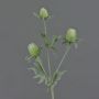 Cardo artificiale SVEA, verde, 40cm, Ø2-3cm