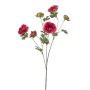Ranuncolo artificiale DAVELLA, fucsia, 80cm