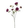 Ranuncolo artificiale DAVELLA, viola scuro, 80cm