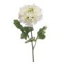 Ranuncolo artificiale ULISAN, verde crema, 60 cm, Ø 14 cm