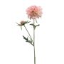 Ramo artificiale di scabiosa BASOLO, rosa-crema, 55 cm