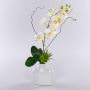 Fiore artificiale orchidea Phalaenopsis TIALDA, piante grasse, vaso in ceramica, bianco, 50 cm