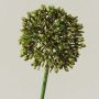 Allium artificiale HELLA, glitterato, verde-oro, 45 cm, Ø 8 cm