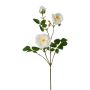 Ramo artificiale di peonia KROVEL, color crema, 75 cm