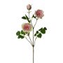Ramo artificiale di peonia KROVEL, verde-rosa, 75 cm