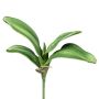 Foglie decorative di orchidea Phalaenopsis CRILMER, bastoncino, radici aeree, 30 cm