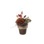 Composizione decorativa con dalie, bacche di rosa canina e grappoli d’uva MUSAN, vaso decorativo, rosso-arancione-verde, 10 cm, Ø 7 cm