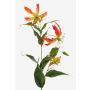 Gloriosa finta FUJITA, giallo-arancione, 80cm, Ø15cm