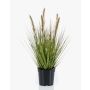 Pianta artificiale Erba a penna YWAIN con pannocchie, beige-verde, 45 cm