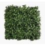 Tappeto di piante artificiali / siepe di edera ANKA, crossdoor, verde, 50x50 cm