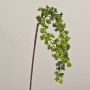 Ramo artificiale di bacche di sambuco SWANTJE, bacche, verde, 40 cm