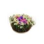 Composizione floreale decorativa con anemoni e margherite IKAIA, variopinta, 12 cm, Ø 20 cm