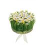 Composizione floreale artificiale con narcisi ed erba HAULANI, bianco-giallo, 12 cm, Ø 20 cm