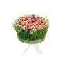 Composizione floreale artificiale con margherite e erba HAULANI, rosa-bianco, 12 cm, Ø 20 cm