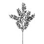 Ramo decorativo di frangiradice FRIVON, nero, 50 cm