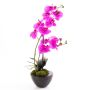 Orchidea Phalaenopsis in plastica MELINA in vaso di ceramica, rosa, 45 cm