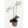 Orchidea artificiale Phalaenopsis MINA in vaso di terracotta, bianca, 45 cm