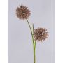 Schiuma sintetica Allium CHIRARA, marrone, 90 cm, Ø 10 cm