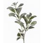 Ramo di stachys artificiale LEVIN, grigio-verde, 70cm