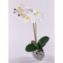 Fiore artificiale orchidea Phalaenopsis EMILIA, vaso in ceramica, bianco, 45 cm