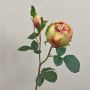 Rosa cavolo artificiale MIRETTA, verde-bordeaux, 60 cm, Ø 3-9 cm