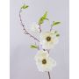 Ramo di magnolia artificiale FINAH, bianco crema, 90 cm, Ø 9-15 cm