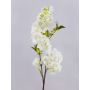Ramo di fiori di ciliegio artificiale MATSUDA con fiori, bianco crema, 80 cm, Ø 6-11 cm