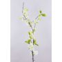 Ramo di ciliegio decorativo VALESKA, fiorito, bianco, 115cm, Ø4-6cm