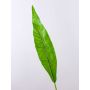 Foglia finta di felce a nido CESAR, verde, 95 cm