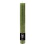 Candela a bastoncino AURORA, verde oliva, 20 cm, Ø 3,5 cm, 23 ore - Prodotto in Germania