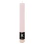 Candela a bastoncino AURORA, rosa chiaro, 20 cm, Ø 3,5 cm, 23 ore - Prodotto in Germania