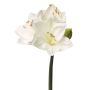 Amaryllis finto BENITA, bianco, 55cm, Ø10cm