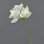 Amaryllis finto BENITA, bianco, 55cm, Ø10cm