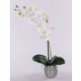 Fiore artificiale orchidea Phalaenopsis EMILIA, vaso decorativo, bianco, 45 cm