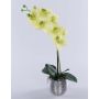 Fiore artificiale orchidea Phalaenopsis EMILIA, vaso decorativo, verde crema, 45 cm