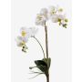 Orchidea Phalaenopsis di plastica CANDIDA su stelo, bianco, 65cm