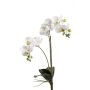 Orchidea Phalaenopsis di plastica CANDIDA su stelo, bianco, 65cm
