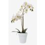 Orchidea Phalaenopsis artificiale CANDIDA in vaso di ceramica, bianca, 65 cm