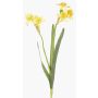 Narciso finto NEELA, giallo, 50cm, Ø6cm