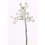 Margherita finto BELINA, bianco, 30cm, Ø1cm