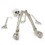 Figura decorativa di Halloween con parti di scheletro ADALBERT con 5 picchetti da terra, 19 cm, 45 cm, 66 cm