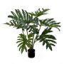 Philodendron Selloum artificiale LAINA, 60cm
