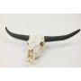 Mini bisonte decorazione cranio LAKOTA TATANKA, 34x20x20x6,5cm