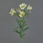 Alstroemeria di plastica AUBERTA, verde-bianco, 75cm, Ø6cm