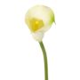 Calla decorativa CHIDORA, crema, 55cm, 4,5x5,5cm