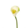 Calla decorativa CHIDORA, crema, 55cm, 5x6cm