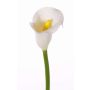 Calla decorativa CHIDORA, bianco, 55cm, 4,5x5,5cm