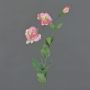 Lisianthus finto NOWA, rosa, 80cm, Ø7cm