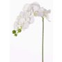 Ramo finto di orchidea Phalaenopsis GALINA, crema, 45cm